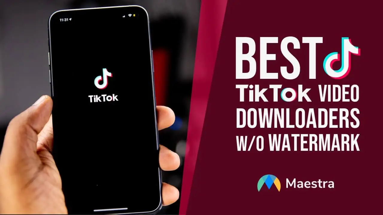 Best TikTok Video Downloaders without the Watermark